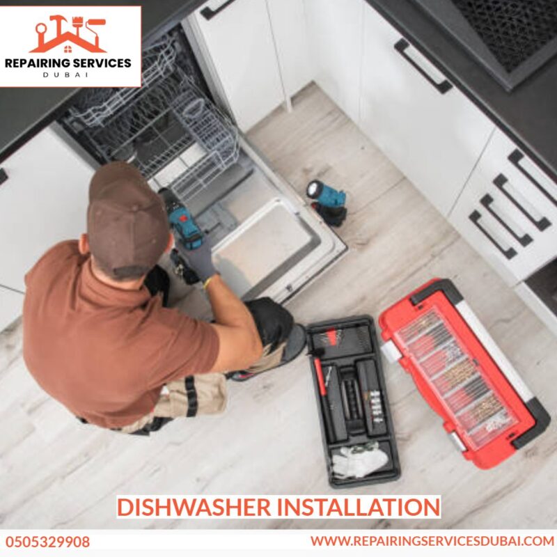 Do you call a plumber for a leaking dishwasher? - GreenyPlace.com