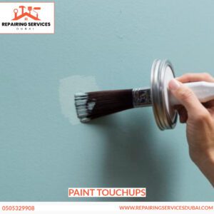 Paint Touchups