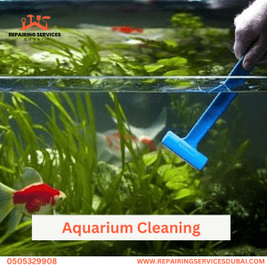 Aquarium Cleaning