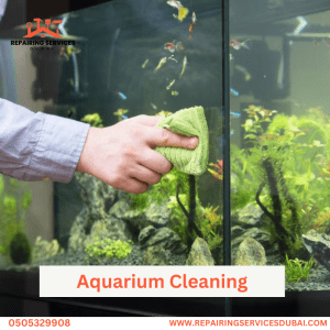 Aquarium Cleaning