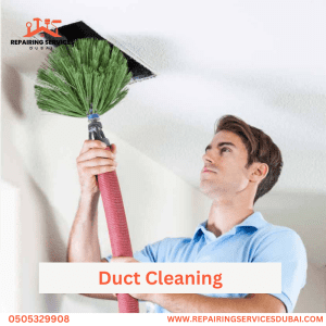 Duct Cleaning