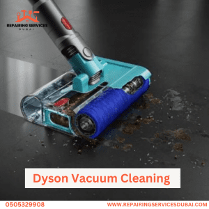 Dyson Vacuum Cleaning 