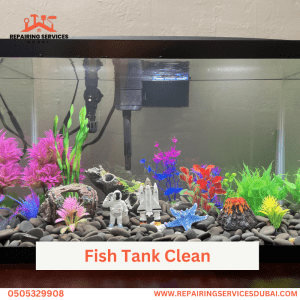 Fish Tank Clean