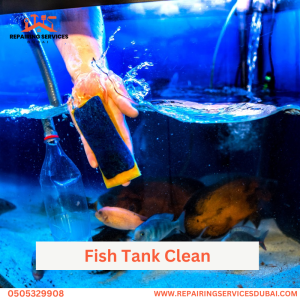 Fish Tank Clean
