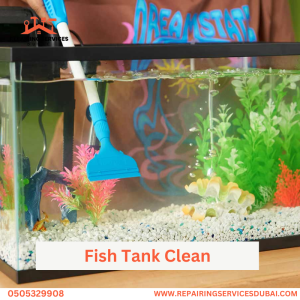 Fish Tank Clean