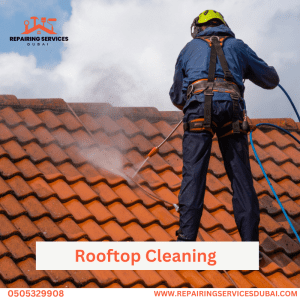 Rooftop Cleaning