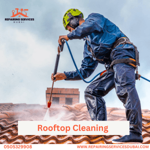 Rooftop Cleaning