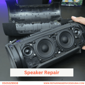 Speaker Repair