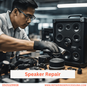 Speaker Repair