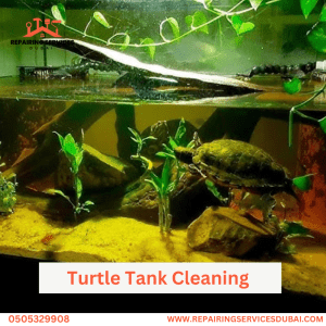 Turtle Tank Cleaning