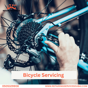 Bicycle Servicing