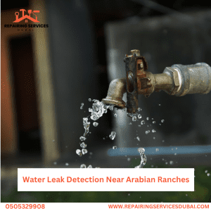 Water Leak Detection Near Arabian Ranches