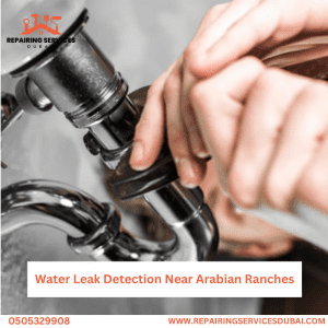 Water Leak Detection Near Arabian Ranches