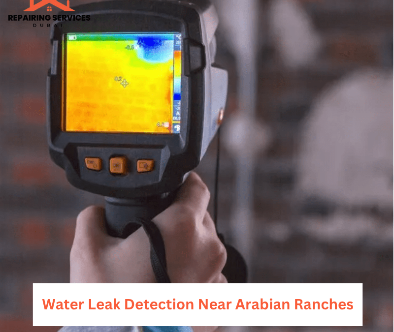 Water Leak Detection Near Arabian Ranches