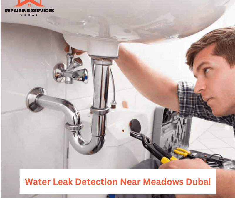 Water Leak Detection Near Meadows Dubai