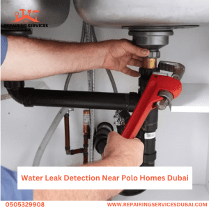 Water Leak Detection Near Polo Homes Dubai
