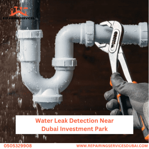 Water Leak Detection Near Dubai Investment Park