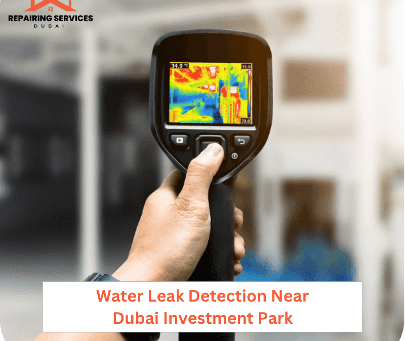 Water Leak Detection Near Dubai Investment Park