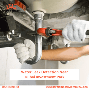 Water Leak Detection Near Dubai Investment Park
