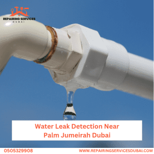 Water Leak Detection Near Palm Jumeirah Dubai